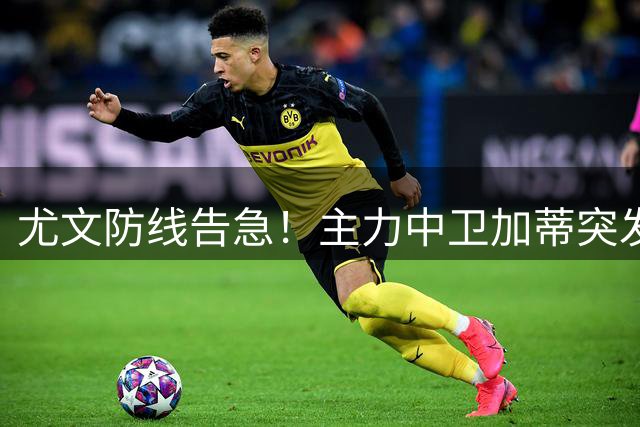 尤文防线告急！主力中卫加蒂突发肌肉伤情 出战德比成疑