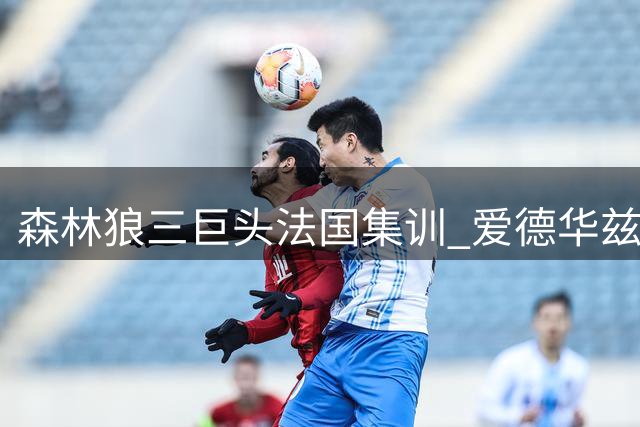 森林狼三巨头法国集训 爱德华兹鲍尔带队磨合新赛季阵容